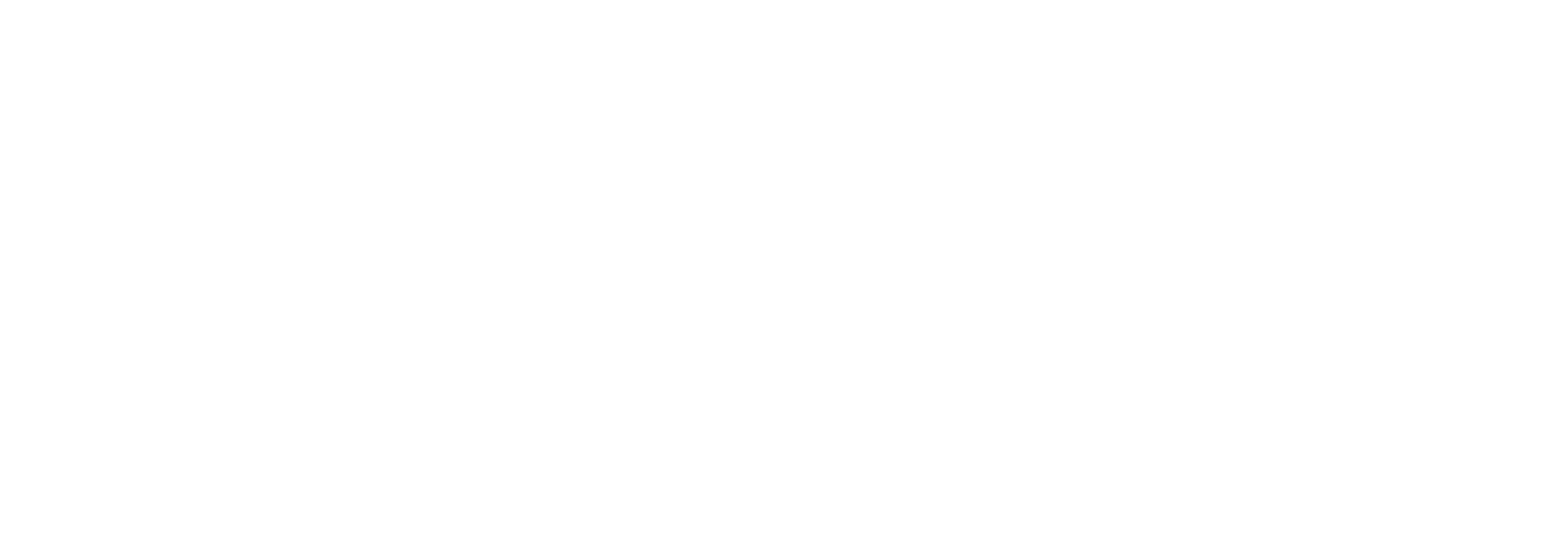 Middle Film Festival