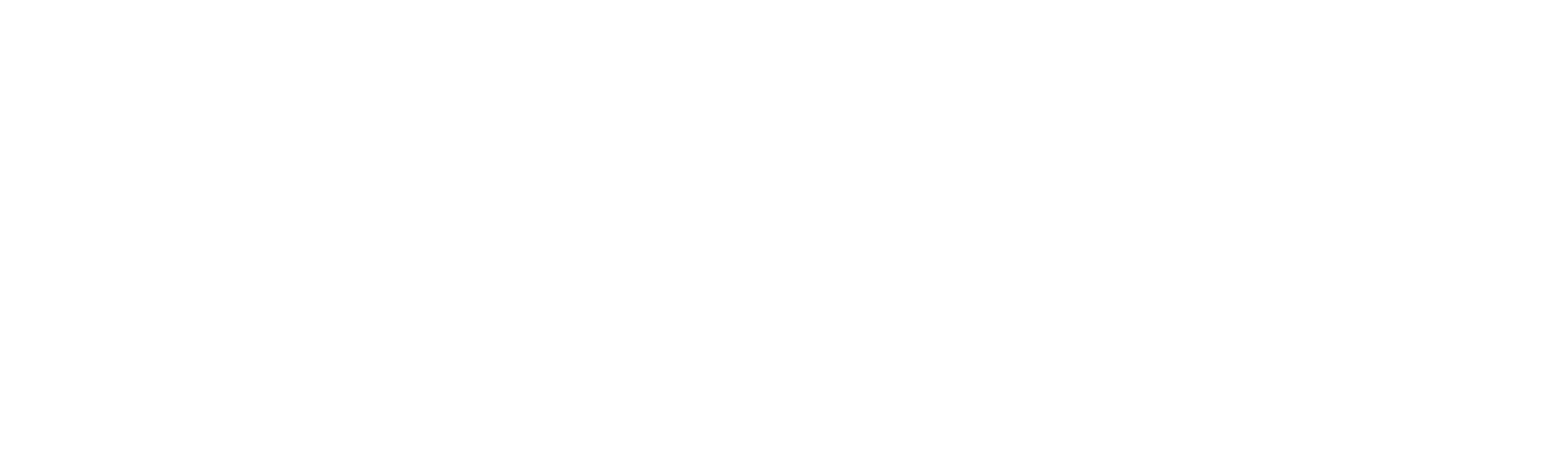 Middle Film Festival