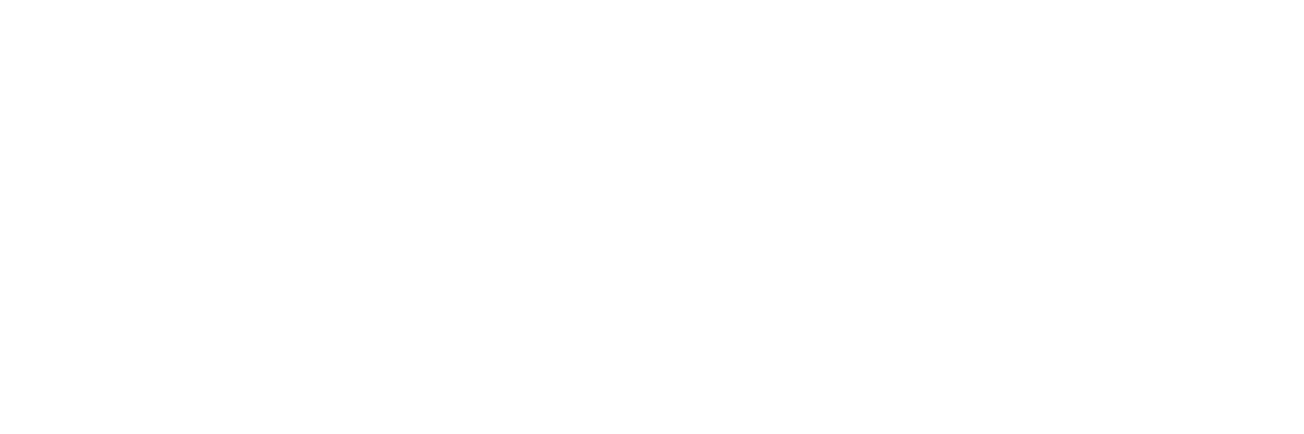 Middle Art Festival